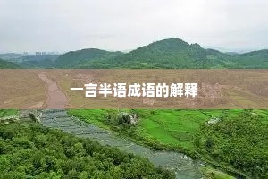 一言半语成语的解释 一言半语成语的解释