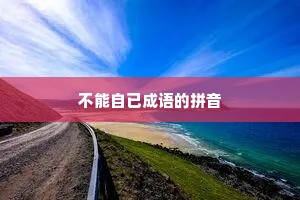 不能自已成语的拼音