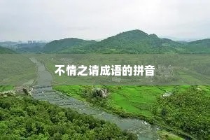 不情之请成语的拼音