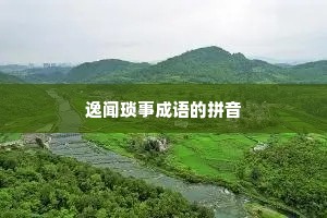 逸闻琐事成语的拼音 逸闻琐事成语的拼音