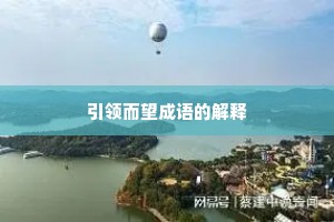 引领而望成语的解释 引领而望成语的解释