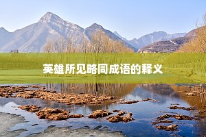 英雄所见略同成语的释义 英雄所见略同成语的释义