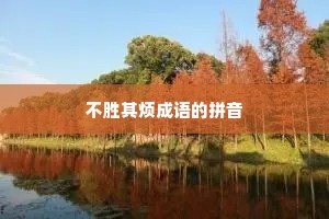 不胜其烦成语的拼音