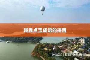 蝇粪点玉成语的拼音 蝇粪点玉成语的拼音