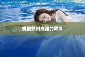 蝇攒蚁附成语的释义 蝇攒蚁附成语的释义