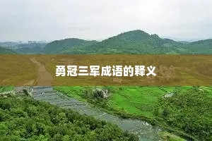 勇冠三军成语的释义 勇冠三军成语的释义
