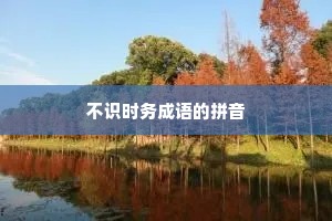 不识时务成语的拼音