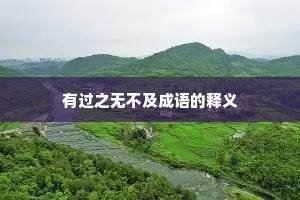 有过之无不及成语的释义 有过之无不及成语的释义