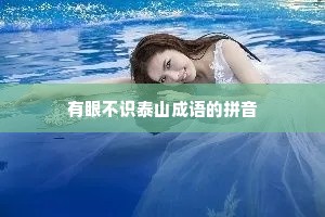 有眼不识泰山成语的拼音 有眼不识泰山成语的拼音
