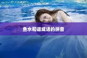鱼水和谐成语的拼音 鱼水和谐成语的拼音