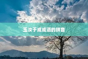 玉汝于成成语的拼音 玉汝于成成语的拼音