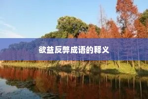 欲益反弊成语的释义 欲益反弊成语的释义