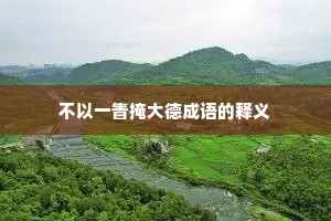 不以一眚掩大德成语的释义