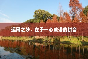 运用之妙,在于一心成语的拼音 运用之妙,在于一心成语的拼音