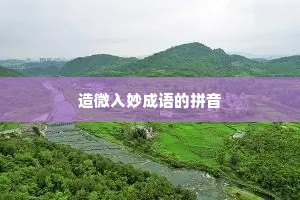 造微入妙成语的拼音 造微入妙成语的拼音