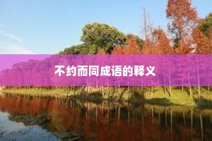 不约而同成语的释义