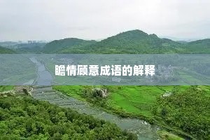 瞻情顾意成语的解释 瞻情顾意成语的解释