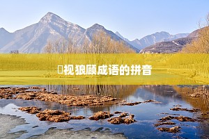 鹯视狼顾成语的拼音 鹯视狼顾成语的拼音