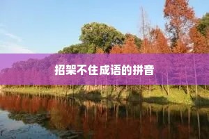 招架不住成语的拼音