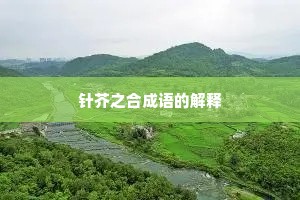 针芥之合成语的解释 针芥之合成语的解释