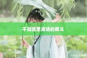 不知就里成语的释义