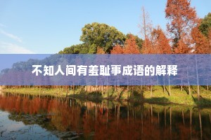不知人间有羞耻事成语的解释