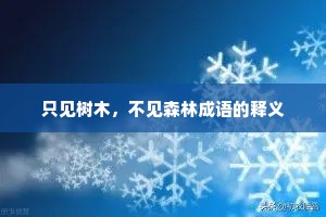 只见树木，不见森林成语的释义