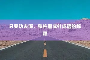 只要功夫深，铁杵磨成针成语的解释