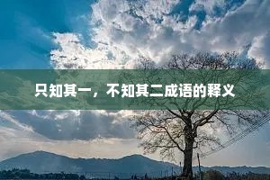 只知其一，不知其二成语的释义