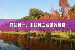 只知其一，未知其二成语的解释