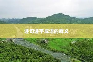 逐句逐字成语的释义
