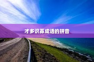 才多识寡成语的拼音