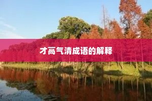 才高气清成语的解释