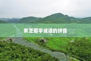 紫芝眉宇成语的拼音