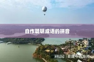 自作聪明成语的拼音