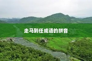 走马到任成语的拼音