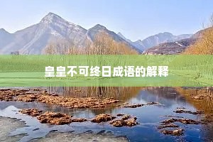 皇皇不可终日成语的解释