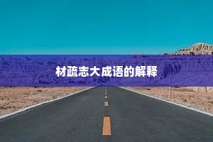 材疏志大成语的解释