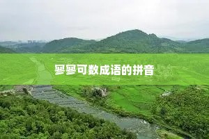 寥寥可数成语的拼音