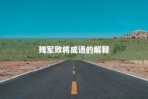 残军败将成语的解释