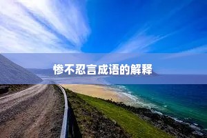 惨不忍言成语的解释
