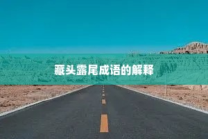 藏头露尾成语的解释