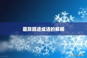 藏踪蹑迹成语的解释