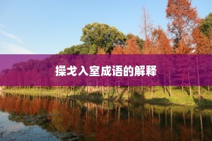 操戈入室成语的解释