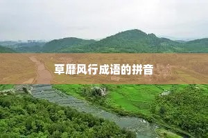 草靡风行成语的拼音