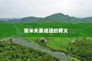 柴米夫妻成语的释义