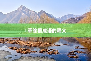 刬草除根成语的释义