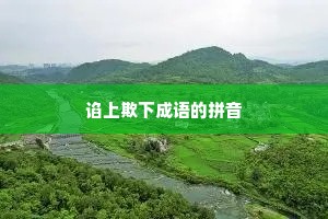谄上欺下成语的拼音
