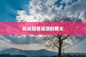 长街短巷成语的释义