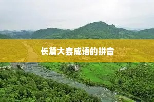 长篇大套成语的拼音